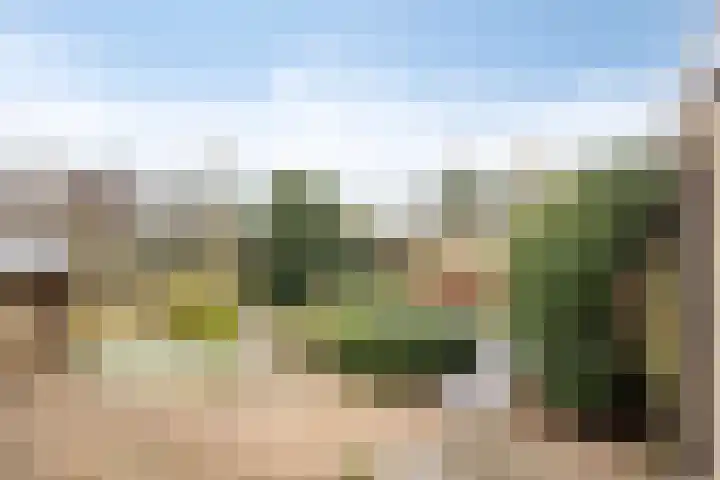 Overambt 27 Vierlingsbeek thumbnail 18