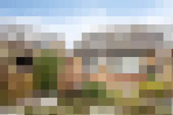 Overambt 27 Vierlingsbeek thumbnail 19