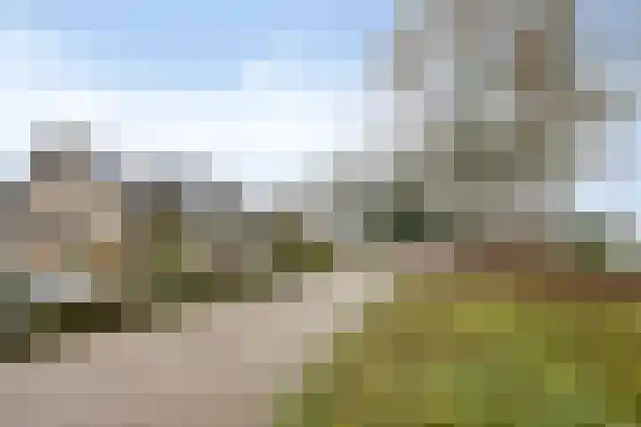 Overambt 27 Vierlingsbeek thumbnail 20