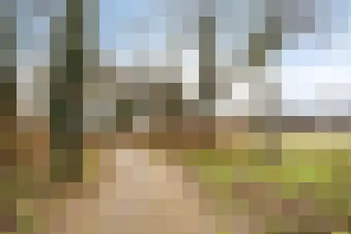 Overambt 27 Vierlingsbeek thumbnail 21