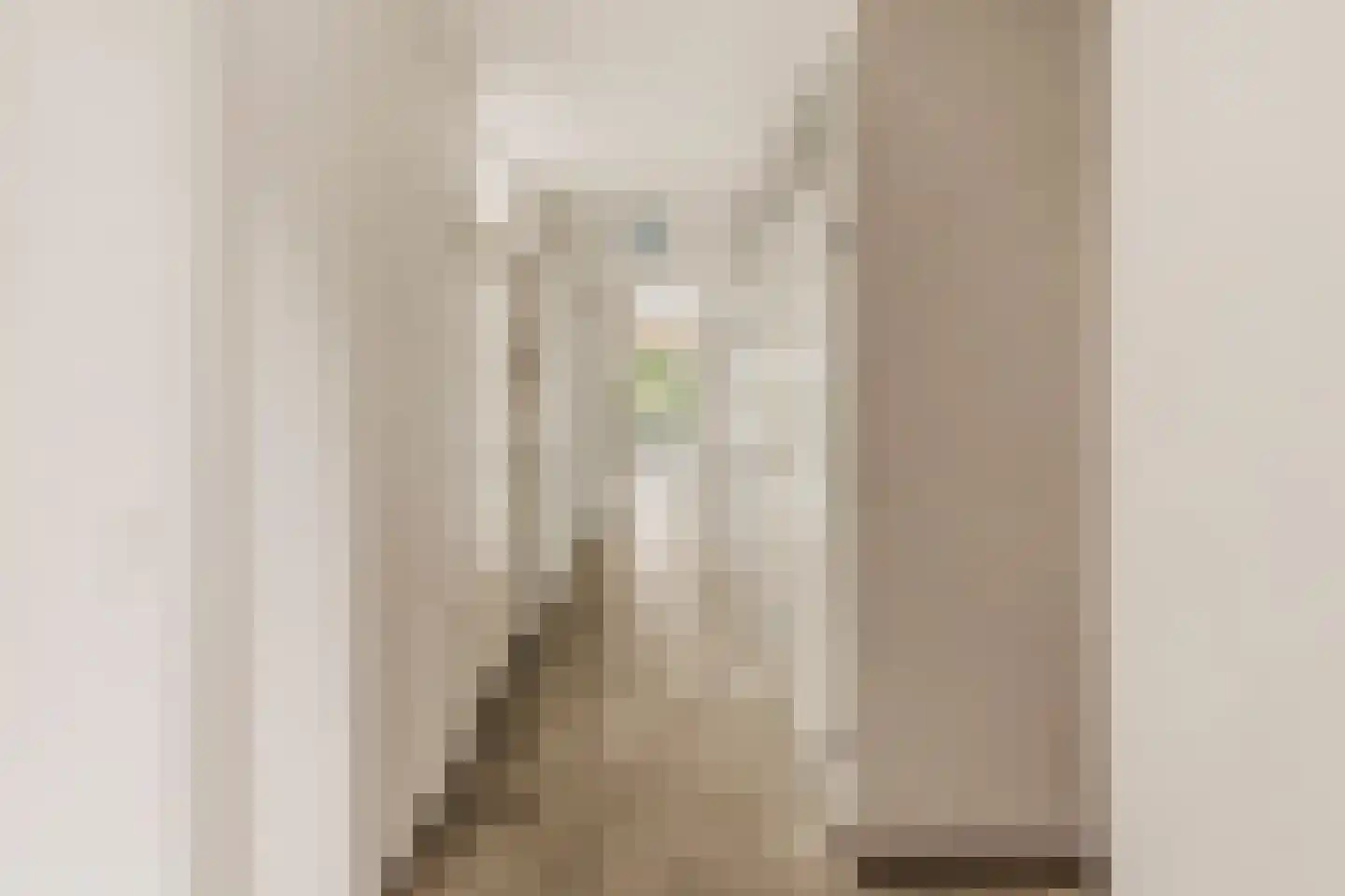 Overamstelstraat 103 Amsterdam thumbnail 12