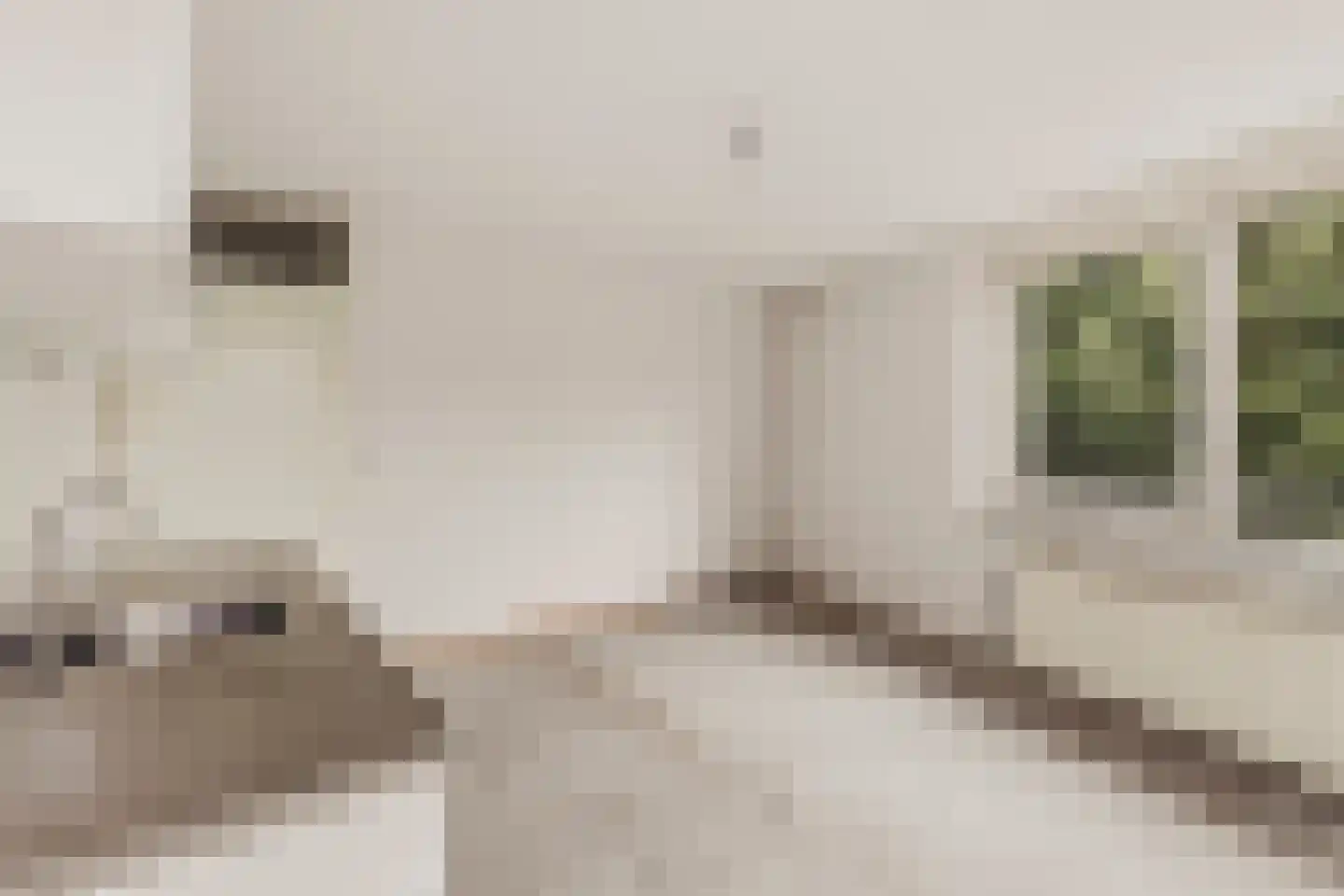 Overamstelstraat 103 Amsterdam thumbnail 4