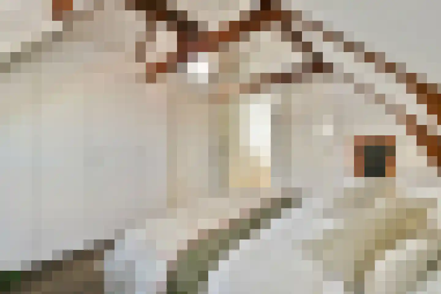 Overamstelstraat 20 2 Amsterdam thumbnail 19