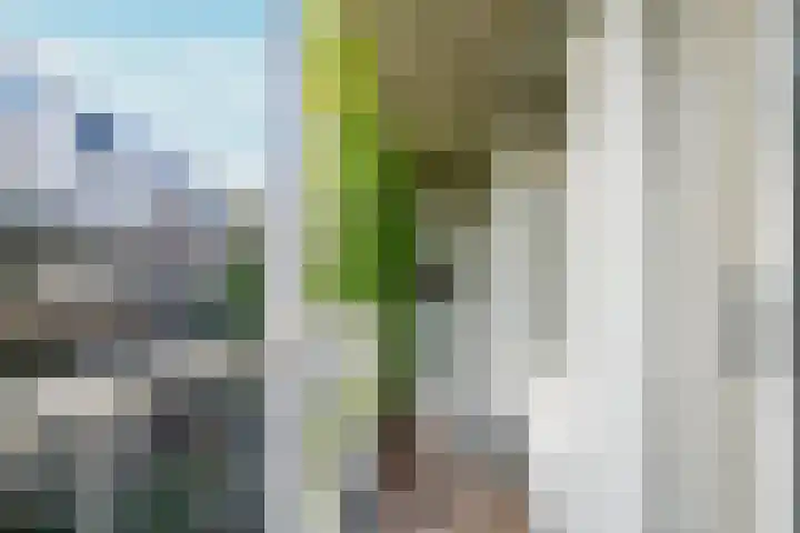 Overamstelstraat 8 2 Amsterdam thumbnail 23