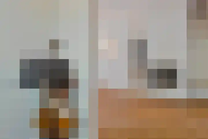 Overaseweg 20 Breda thumbnail 11