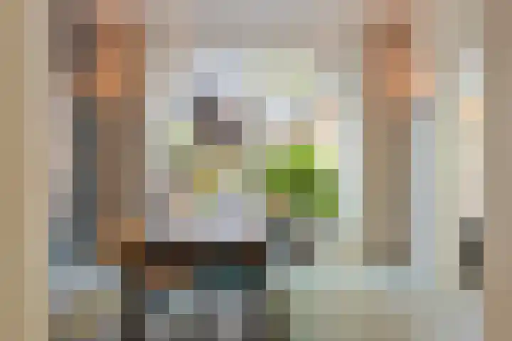 Overaseweg 20 Breda thumbnail 13