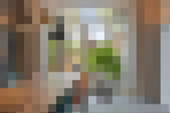 Overaseweg 20 Breda thumbnail 14