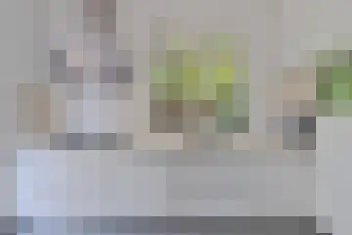 Overaseweg 20 Breda thumbnail 17