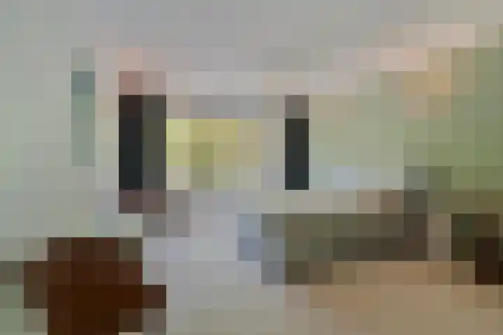 Overaseweg 20 Breda thumbnail 19