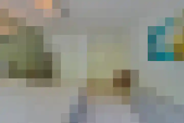 Overaseweg 20 Breda thumbnail 20