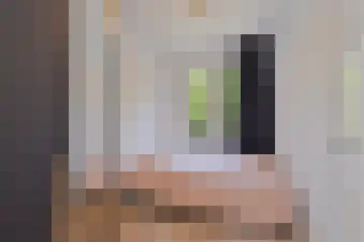 Overaseweg 20 Breda thumbnail 22
