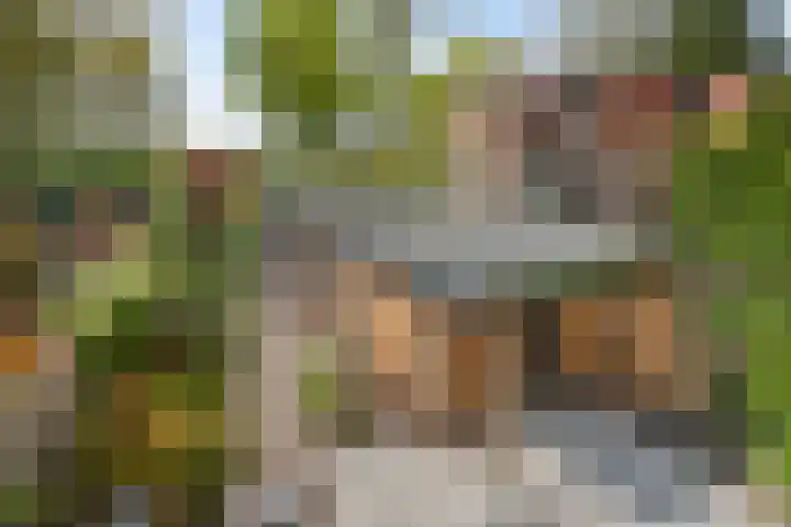 Overaseweg 20 Breda thumbnail 29