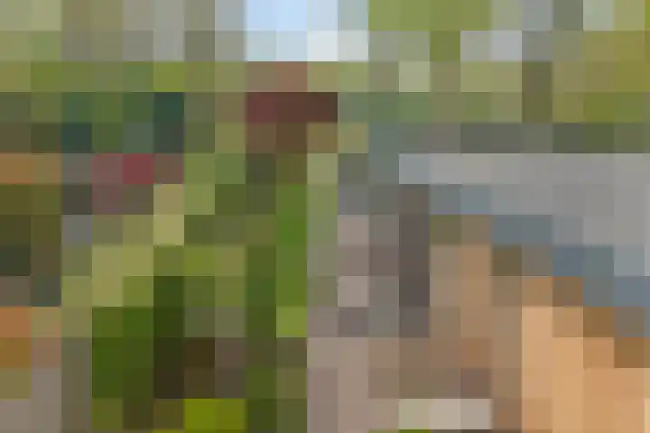 Overaseweg 20 Breda thumbnail 30