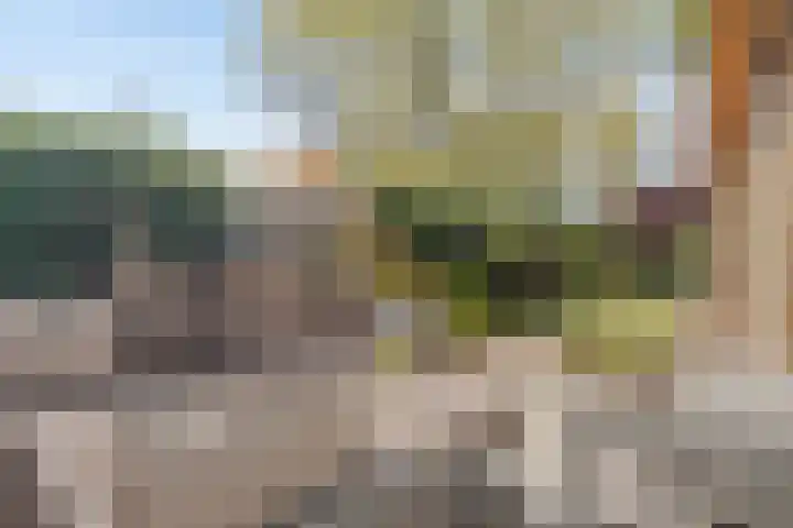 Overaseweg 20 Breda thumbnail 32
