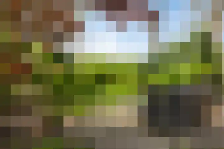 Overaseweg 20 Breda thumbnail 36