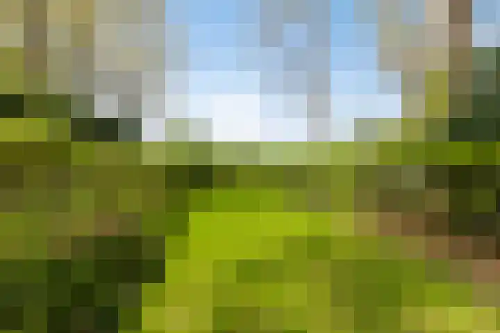 Overaseweg 20 Breda thumbnail 37