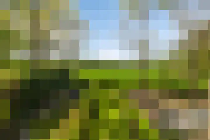 Overaseweg 20 Breda thumbnail 38