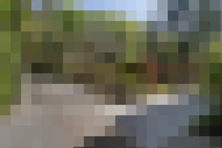 Overaseweg 20 Breda thumbnail 39