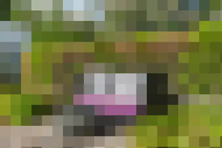 Overaseweg 20 Breda thumbnail 40