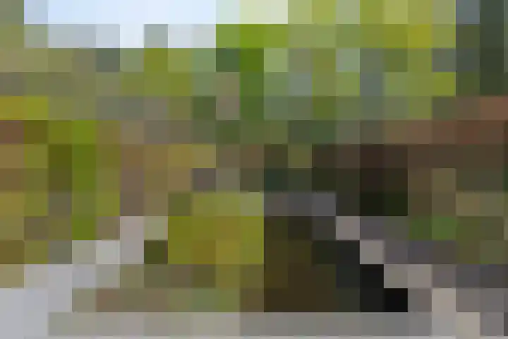 Overaseweg 20 Breda thumbnail 41