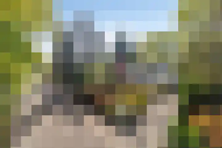 Overaseweg 20 Breda thumbnail 42