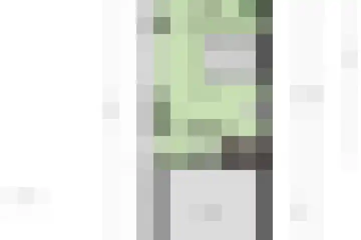 Overaseweg 20 Breda thumbnail 46