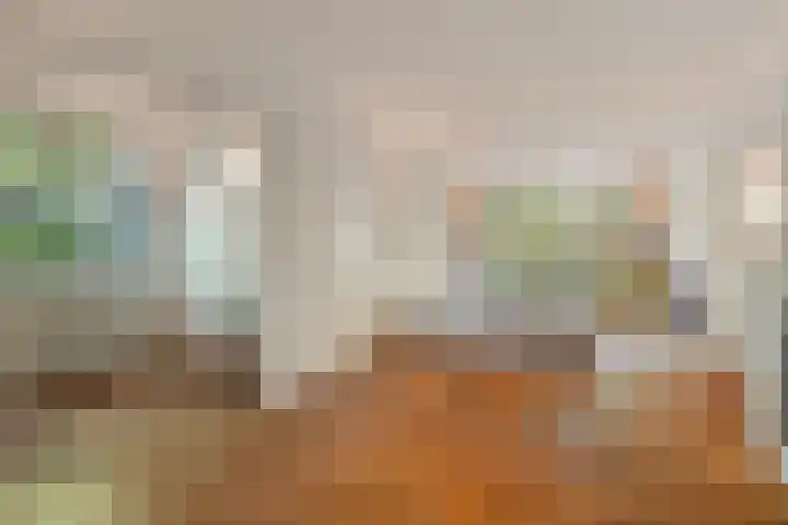 Overaseweg 20 Breda thumbnail 8