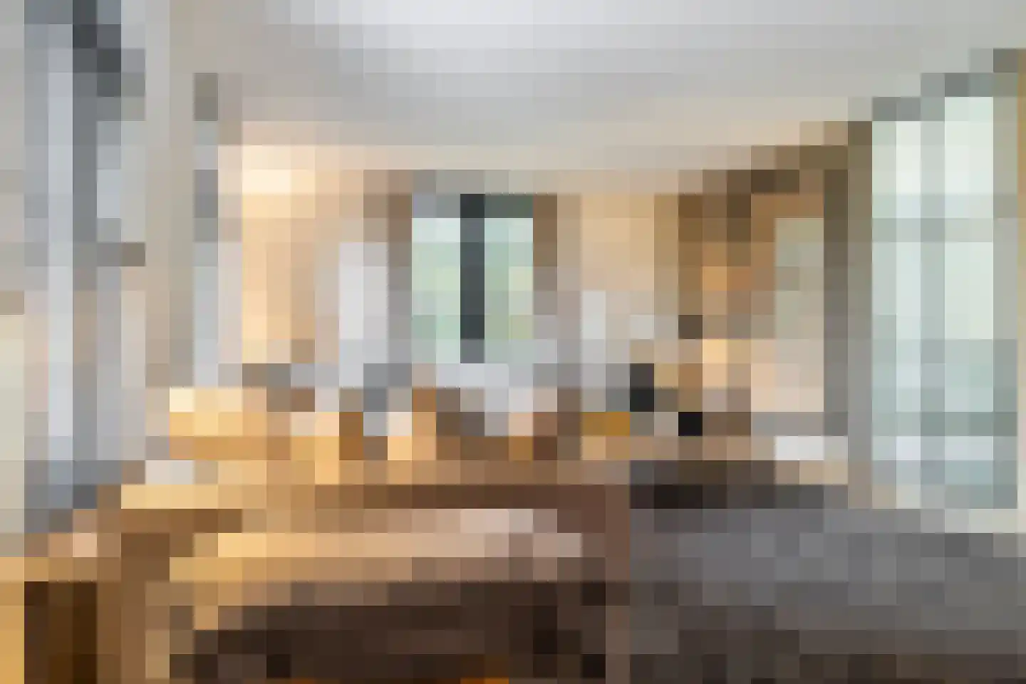 Overaseweg 230 Breda thumbnail 11