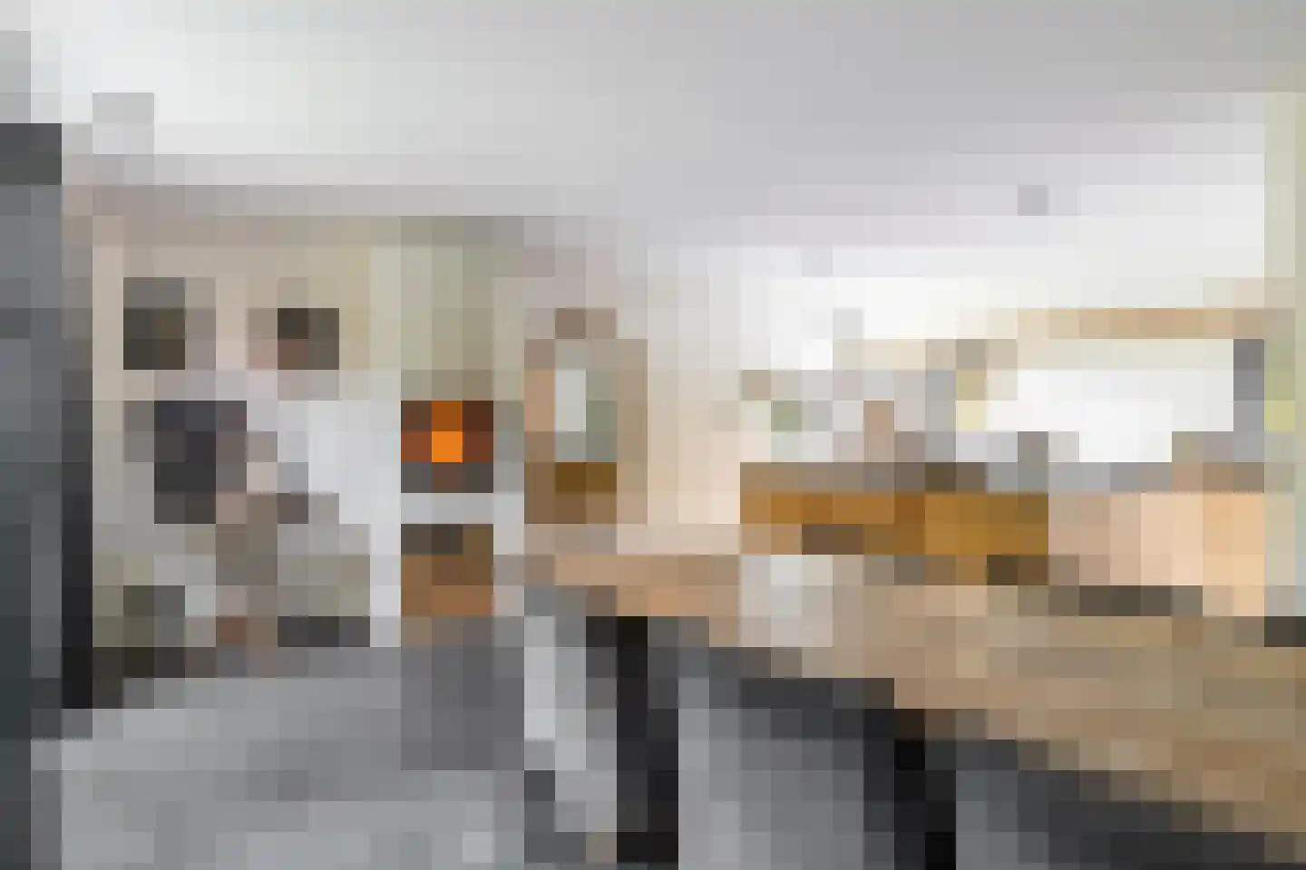 Overaseweg 230 Breda thumbnail 18