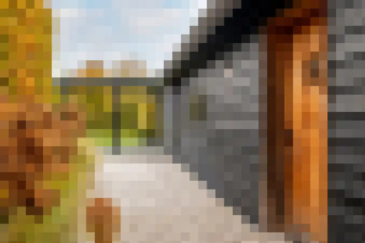 Overaseweg 230 Breda thumbnail 39