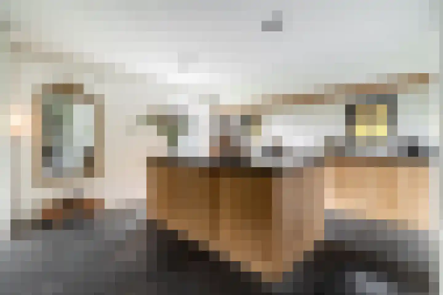 Overaseweg 230 Breda thumbnail 4