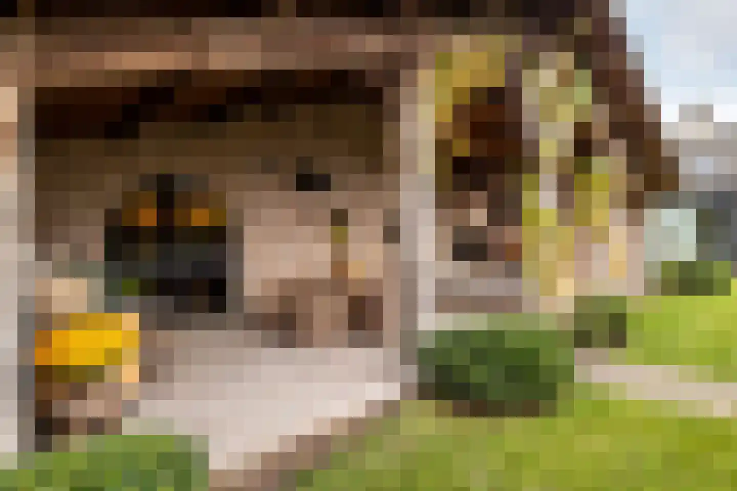 Overaseweg 230 Breda thumbnail 5