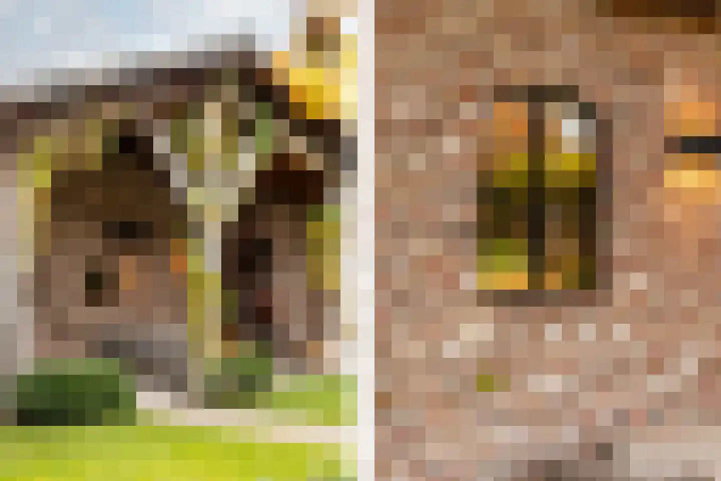 Overaseweg 230 Breda thumbnail 55