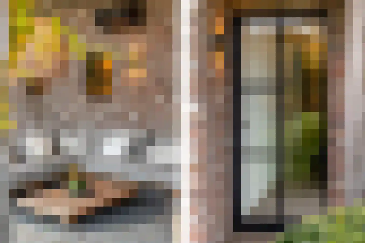 Overaseweg 230 Breda thumbnail 57