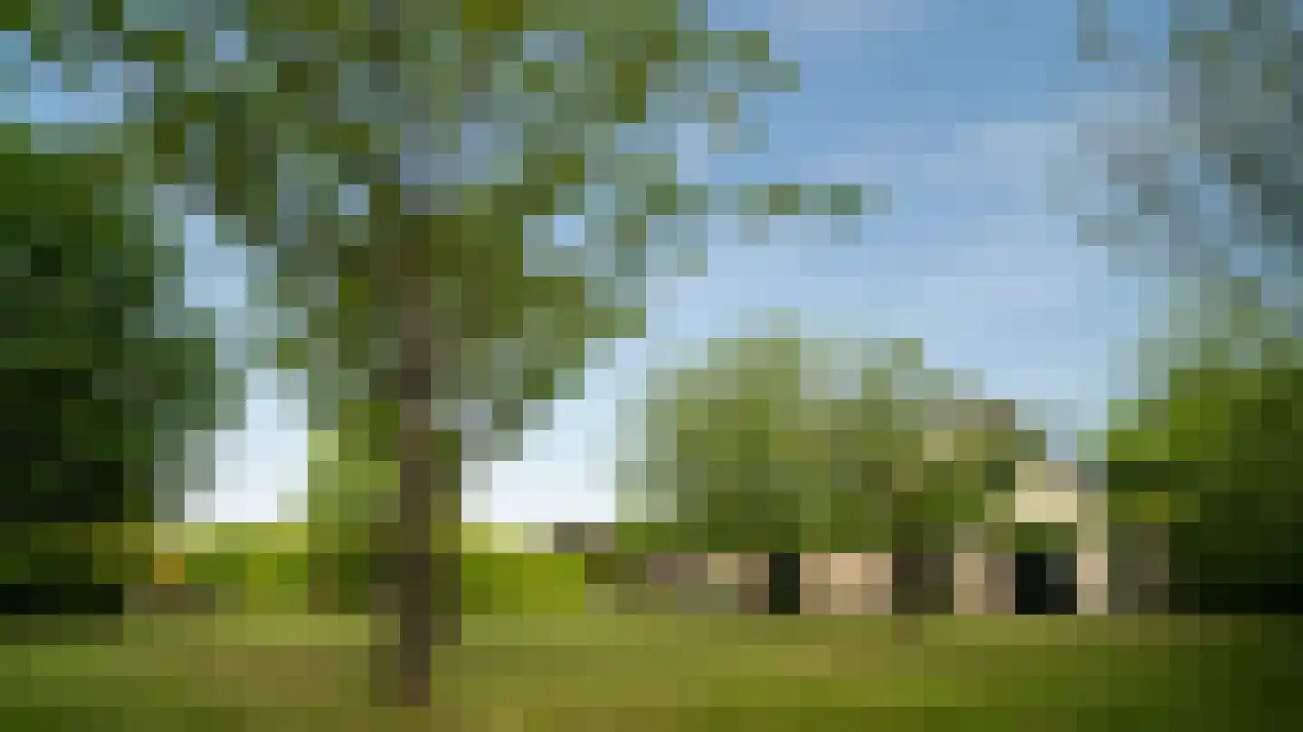 Overaseweg 230 Breda thumbnail 64