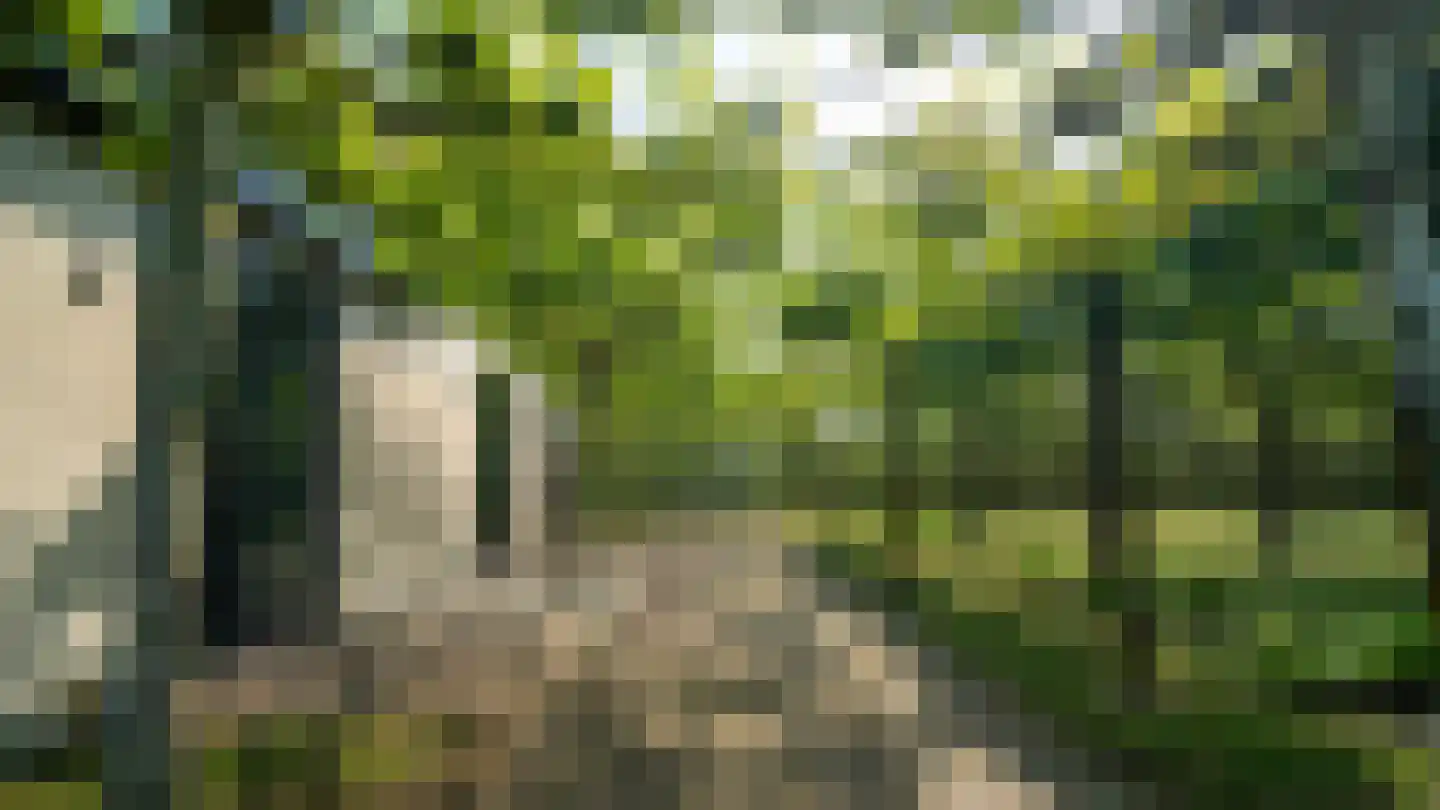 Overaseweg 230 Breda thumbnail 65