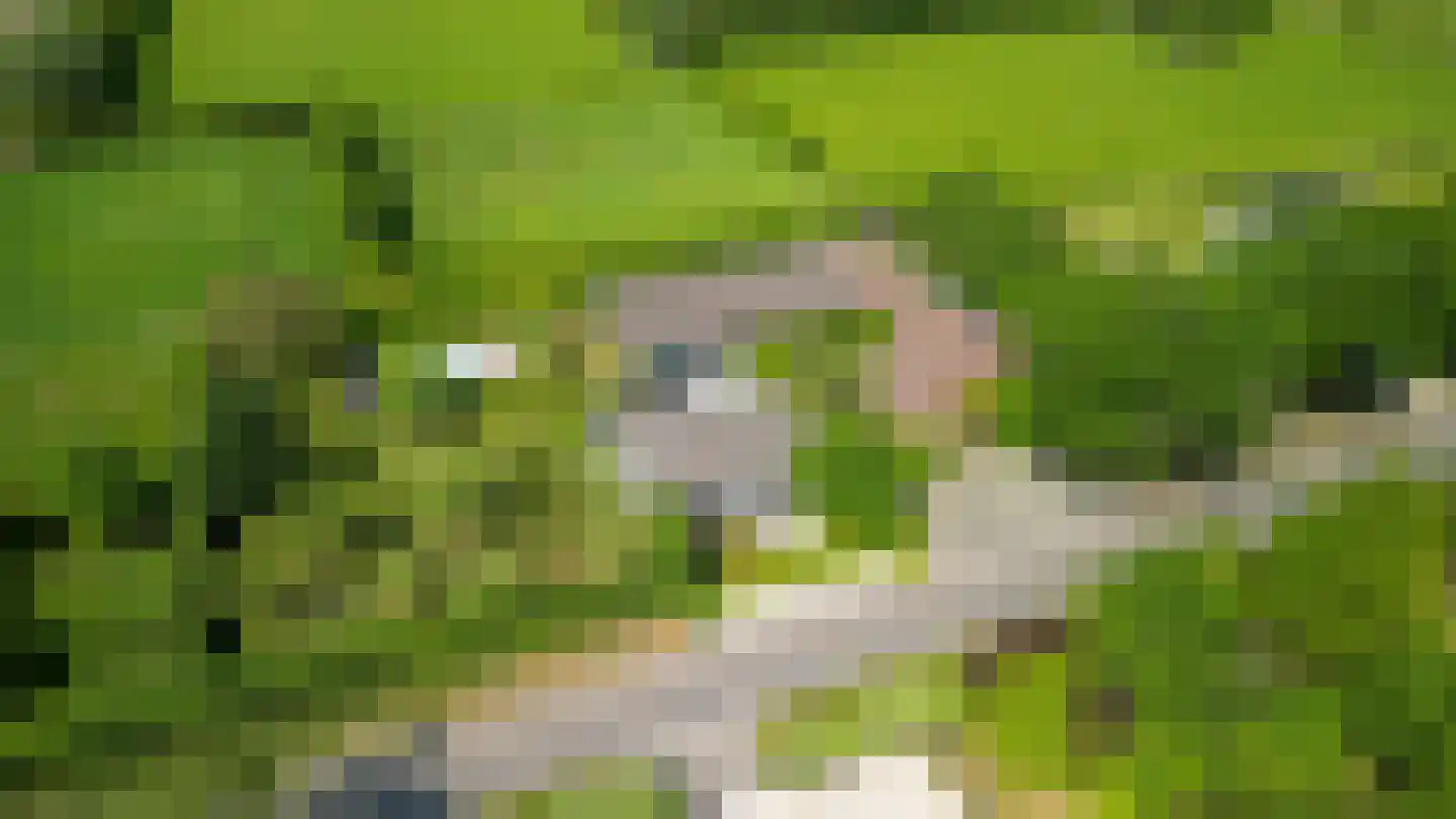 Overaseweg 230 Breda thumbnail 67
