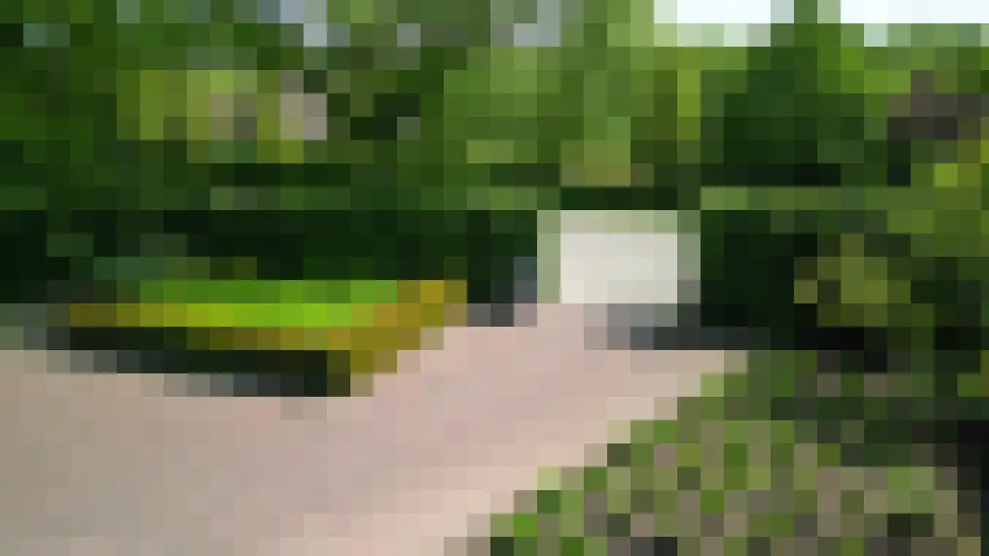 Overaseweg 230 Breda thumbnail 7