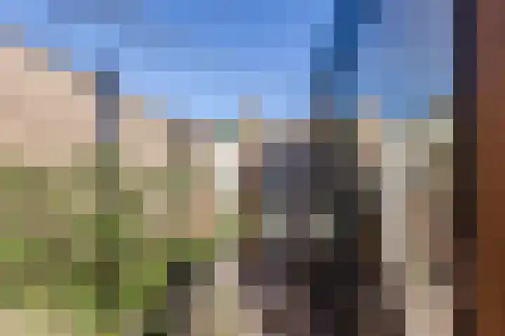 Overbeek 10 Noordwijk thumbnail 71
