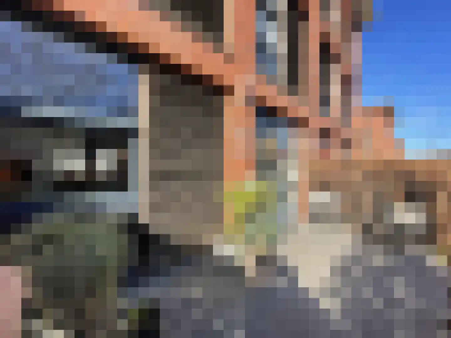 Overbeek 54 Noordwijk thumbnail 55