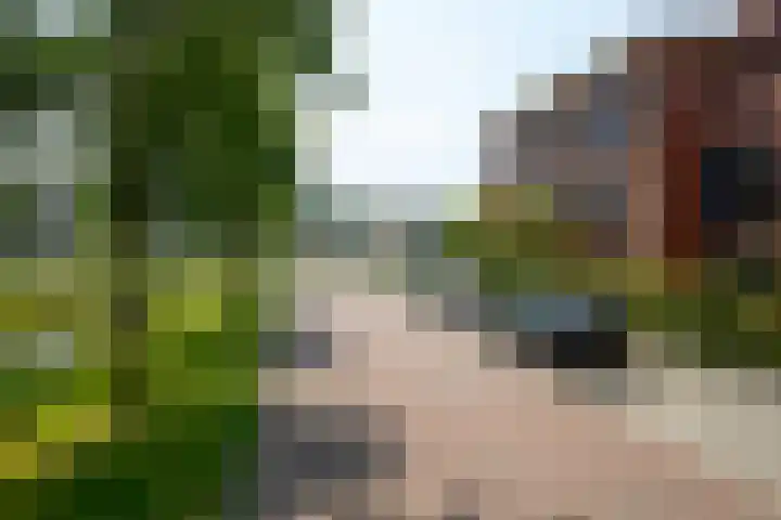 Overbeek 72 Noordwijk thumbnail 55