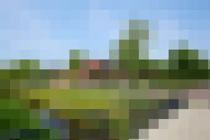 Overbeek 72 Noordwijk thumbnail 57
