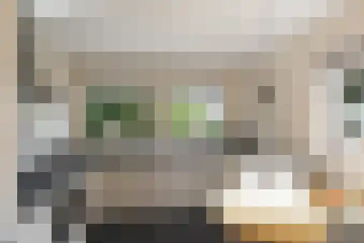 Overbeeksingel 4 Velp