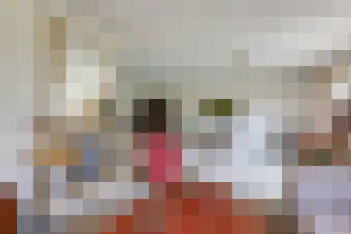 Overbeeksingel 4 Velp thumbnail 11