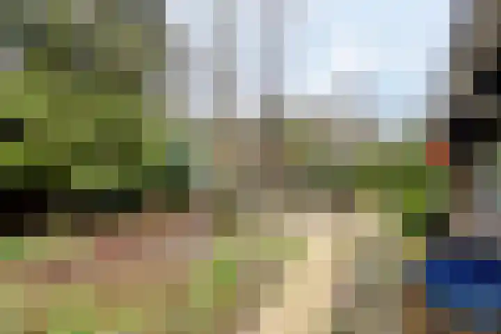 Overbeeksingel 4 Velp thumbnail 15