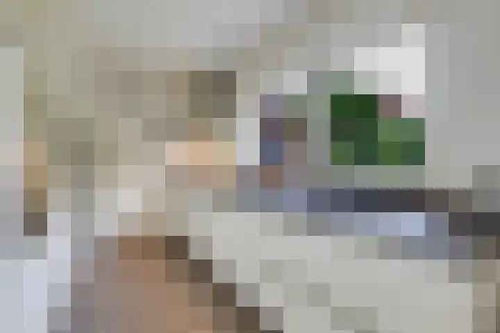 Overbeeksingel 4 Velp thumbnail 17