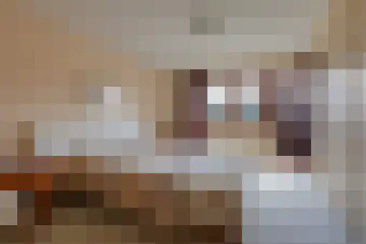 Overbeeksingel 4 Velp thumbnail 20