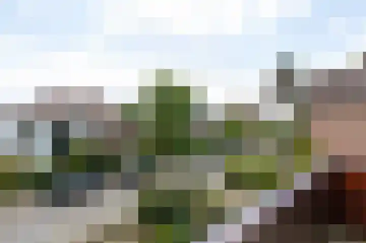 Overbeeksingel 4 Velp thumbnail 21