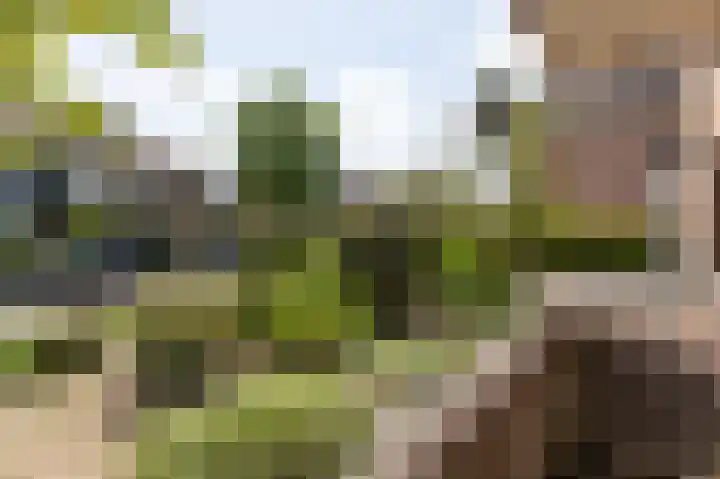 Overbeeksingel 4 Velp thumbnail 22