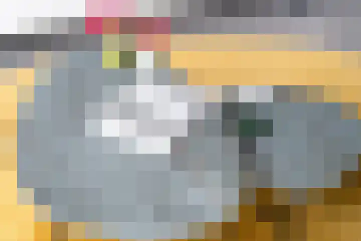 Overbeeksingel 4 Velp thumbnail 25